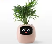 Tuya Ivy Smart Planter,Endless Fun Over 49 Rich Expressions,7 smart sensors,AI Chips Make Raising Plants Easy and Fun