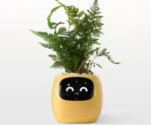 Tuya Ivy Smart Planter,Endless Fun Over 49 Rich Expressions,7 smart sensors,AI Chips Make Raising Plants Easy and Fun